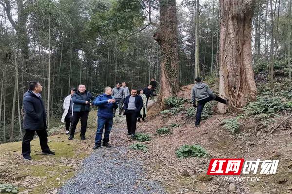 苏仙区科技局领导团队全新亮相，未来工作展望与战略部署