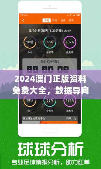 2024新澳门精准资料免费,稳定性执行计划_视频版33.310