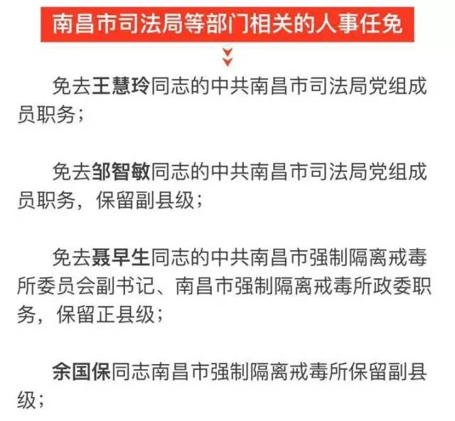 茂港区科技局人事任命揭晓，新任领导将如何影响未来科技发展