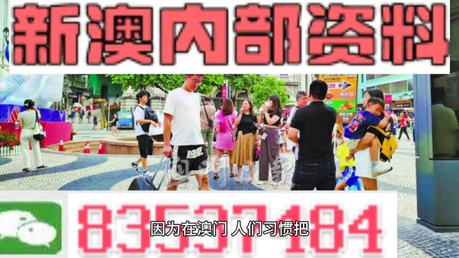 2024新澳精准资料免费提供网站,平衡指导策略_娱乐版79.452