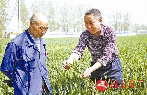 遂平县科技局最新发展规划引领县域科技创新助力经济腾飞