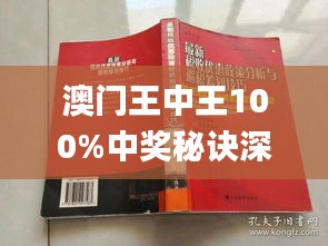 澳门王中王100期期中一期林,迅捷解答策略解析_Surface51.919