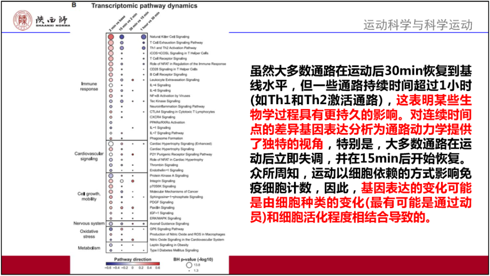 澳门正版资料免费大全新闻,效率资料解释定义_S52.57