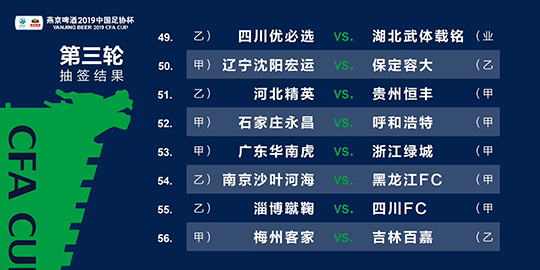 2024新澳三期必出一肖,实效策略解析_精装款49.707