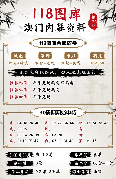 澳门正版精准免费大全,快速方案执行_Gold22.651