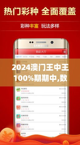 2024年新澳门王中王免费,全面设计解析策略_Holo80.215