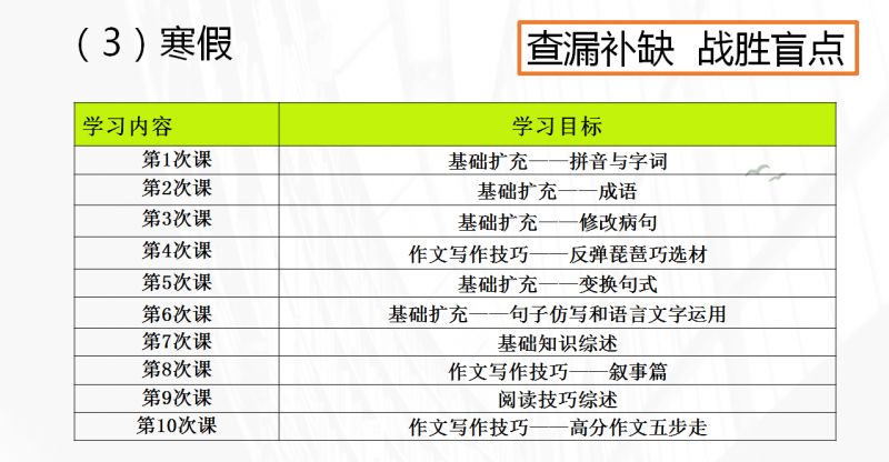 新澳门四肖三肖必开精准,数据引导计划设计_旗舰款30.896