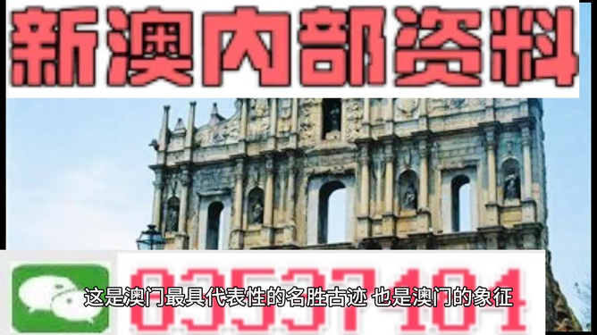 2024新澳门正版精准免费大全 拒绝改写,理论分析解析说明_基础版23.887