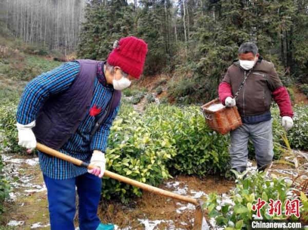 黄山区防疫检疫站未来发展规划揭晓