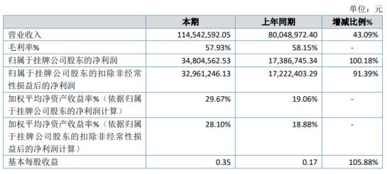 武义县数据和政务服务局最新项目概览，一站式服务新动向