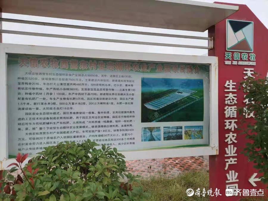 卫东区农业农村局最新发展规划概览