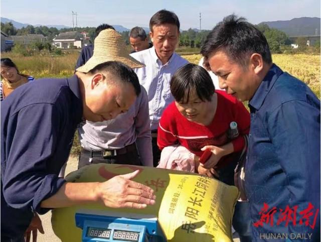 汨罗市科技局最新动态，深度新闻报道