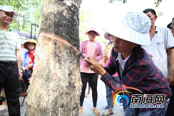 乐东黎族自治县特殊教育事业单位领导团队概览