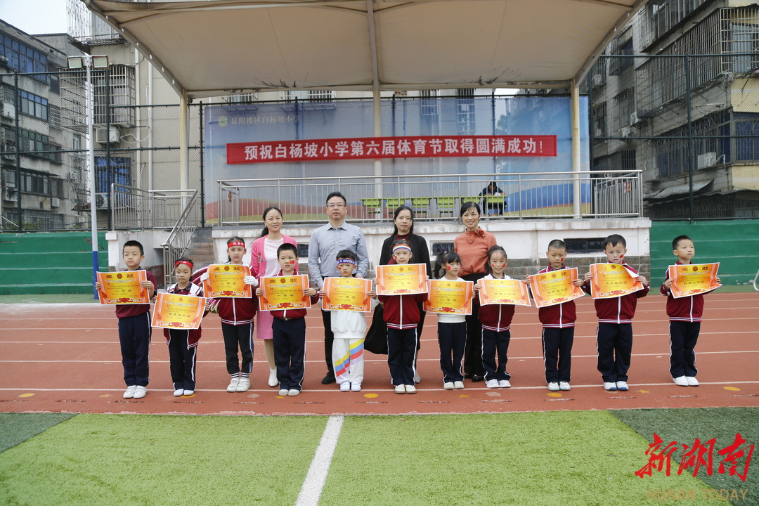 岳阳楼区小学最新动态报道