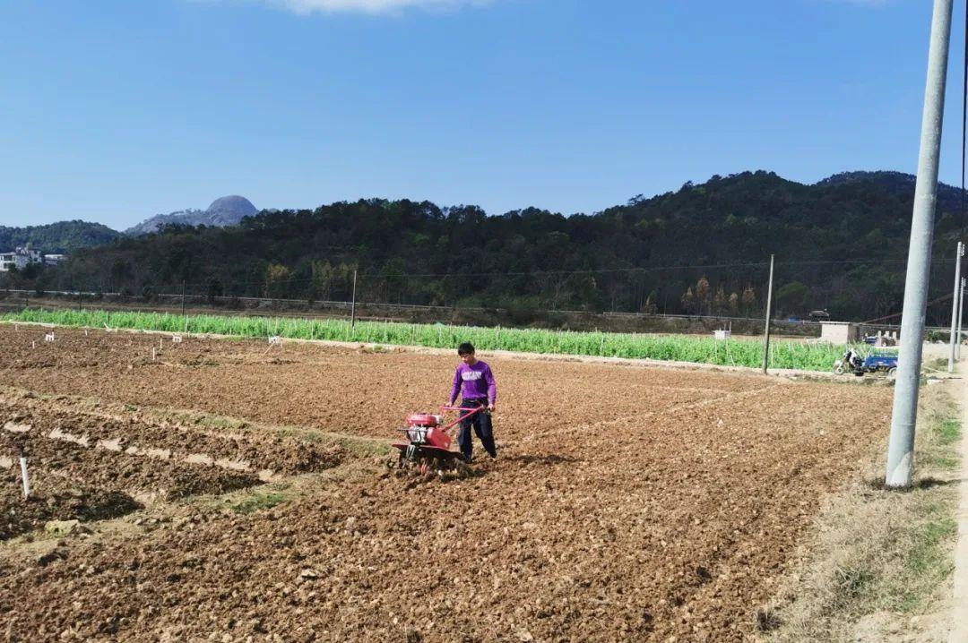 德庆县防疫检疫站最新动态报道