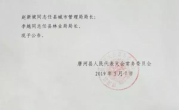 唐河县文化局人事任命最新动态