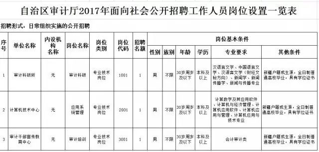 天山区审计局最新招聘公告详解