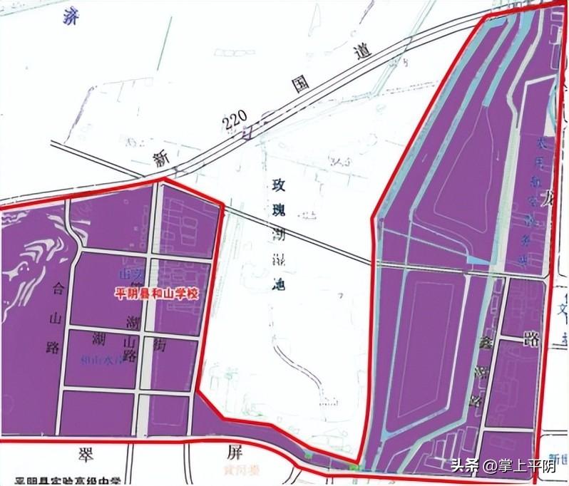 平阴县小学最新动态报道