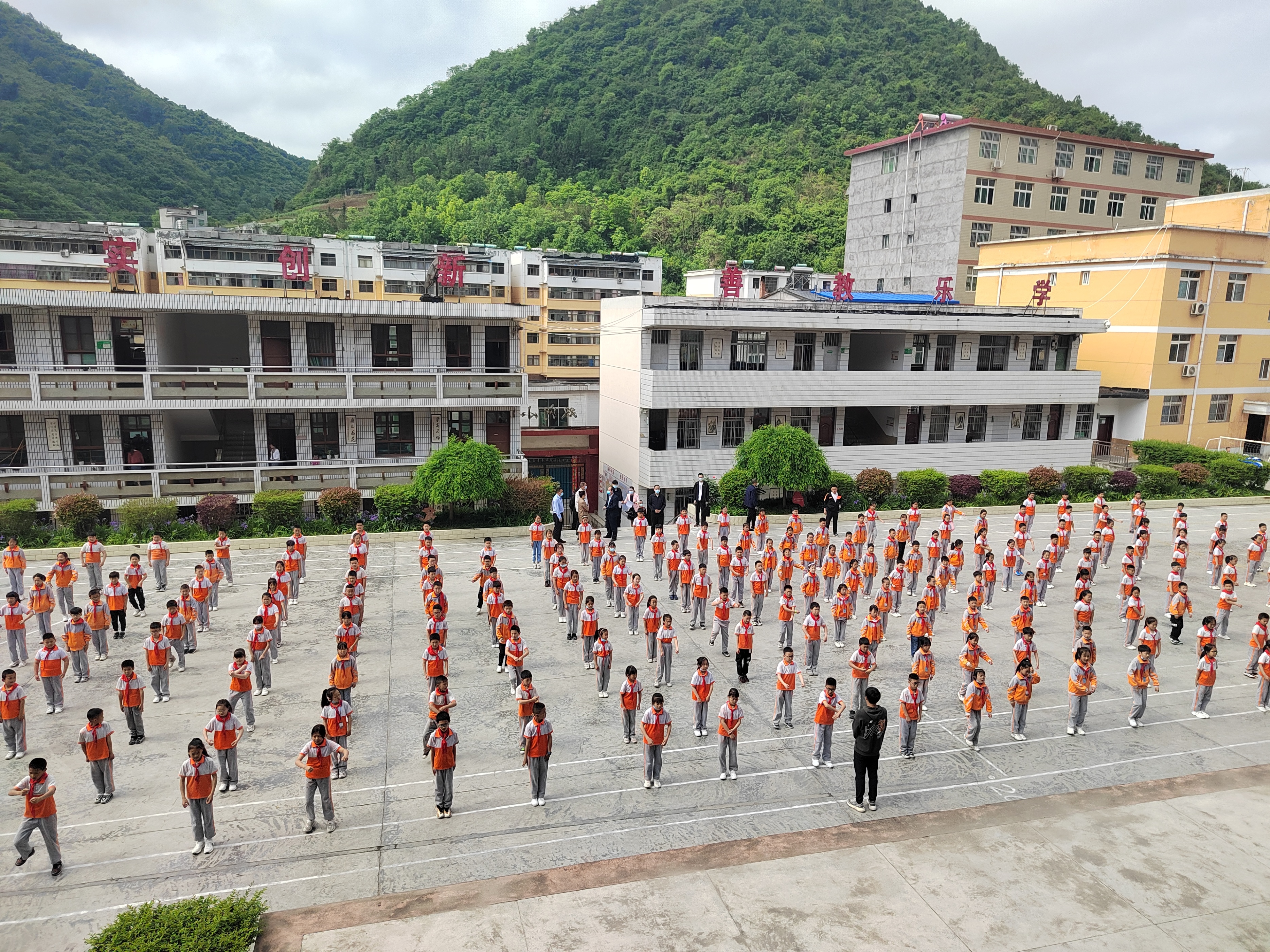 旬阳县小学未来发展规划概览