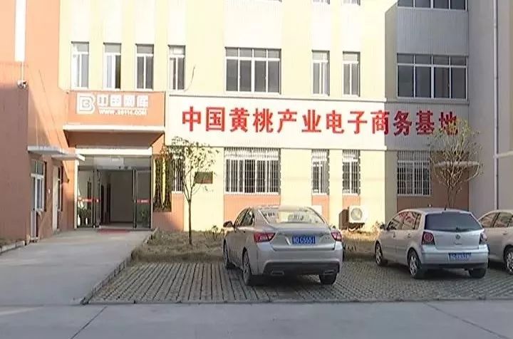 东丰县特殊教育事业单位项目最新进展及其社会影响分析