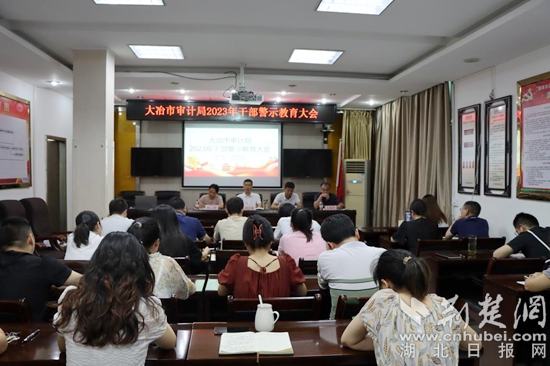 大冶市审计局未来发展规划蓝图