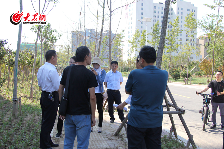 城阳区审计局领导团队最新阵容，引领与担当的力量