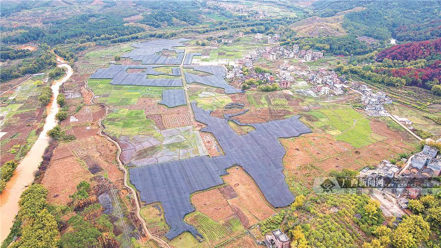 苍梧县医疗保障局最新动态报道