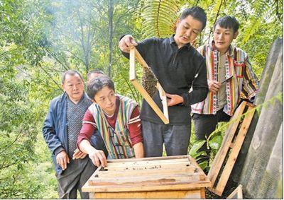 贡山独龙族怒族自治县文化广电体育和旅游局招聘启事详解