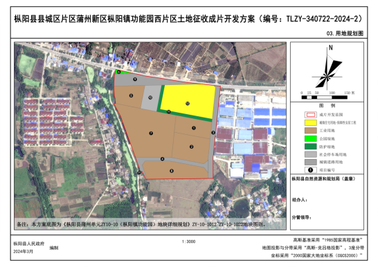 枞阳县应急管理局发展规划概览