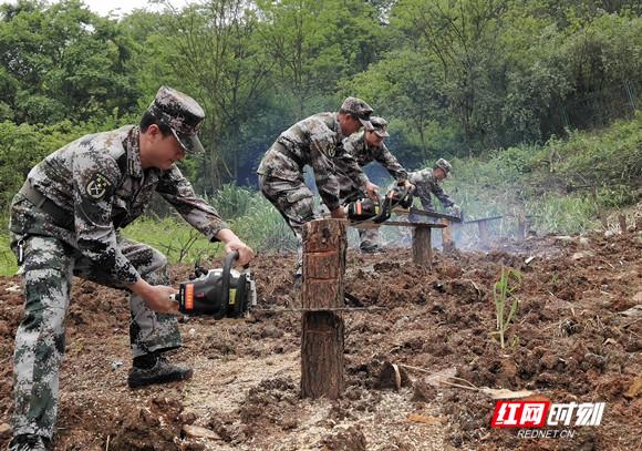 苏仙区医疗保障局领导团队最新配置及工作概述