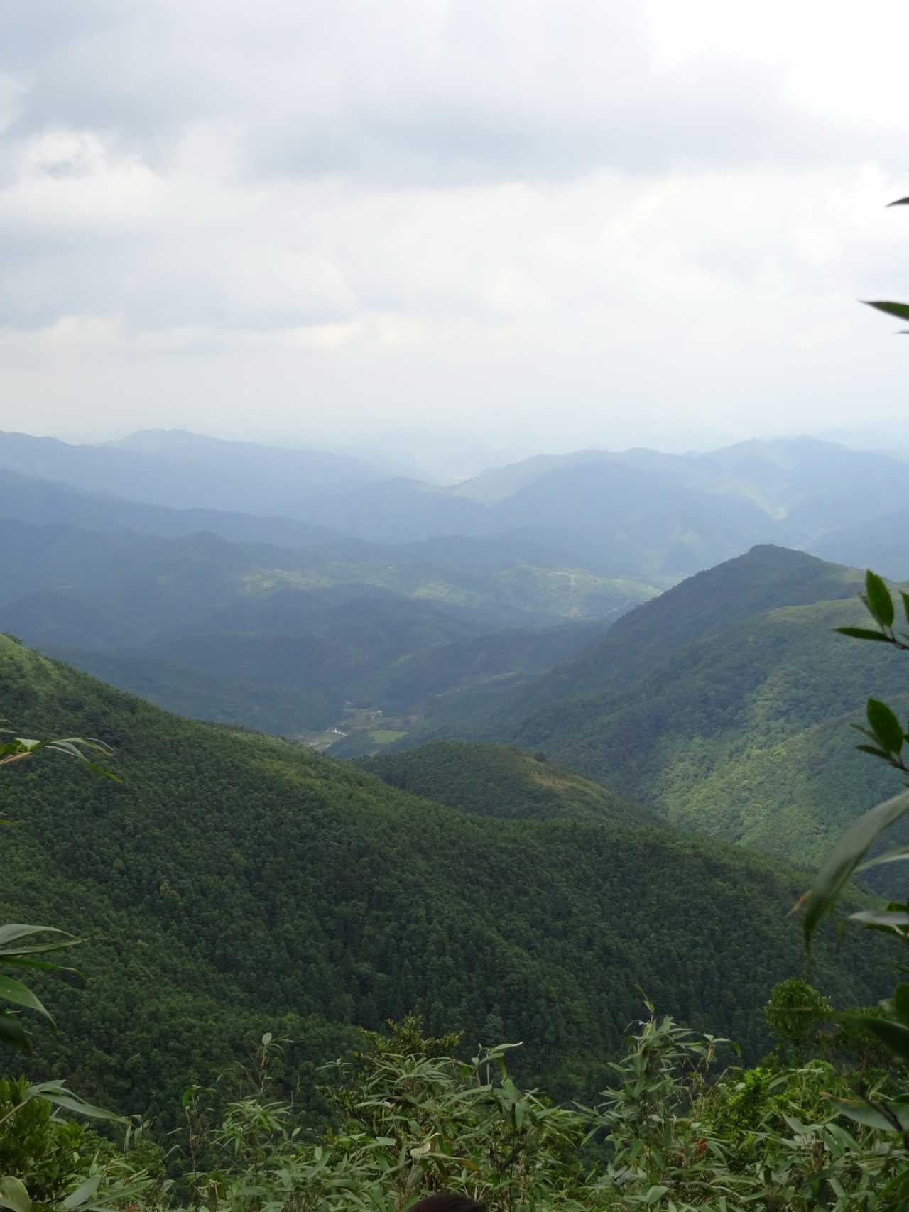 罗经嶂林场天气预报更新通知