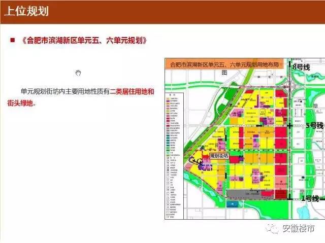 淳安县小学发展规划概览，未来教育新蓝图