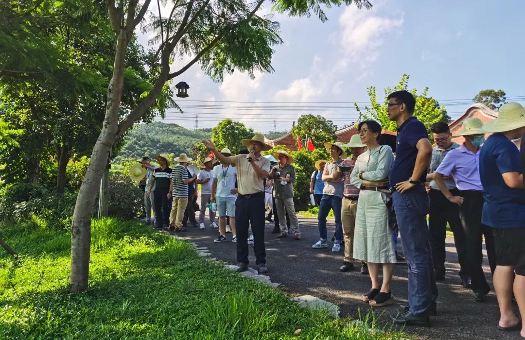 大帽山农场天气预报更新通知