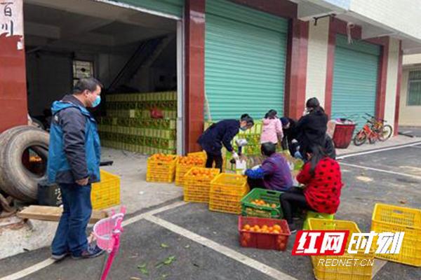 江华瑶族自治县科学技术和工业信息化局发展规划展望