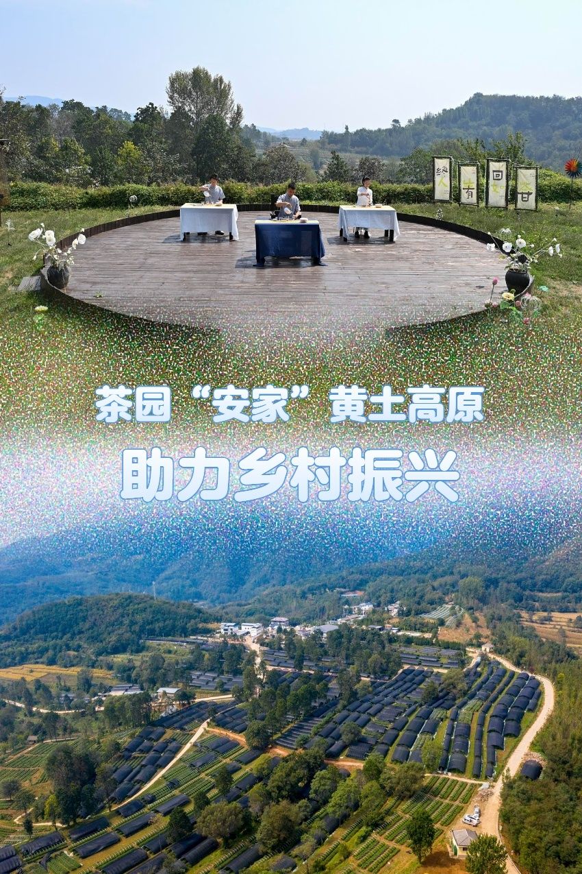 山西省运城市夏县祁家河乡领导团队最新概述