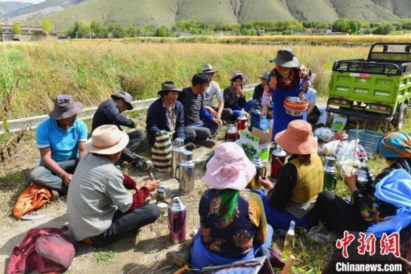 拉萨市统计局最新发展规划深度研究