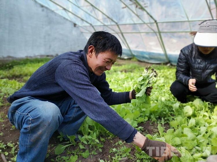 达如村最新新闻报道概况